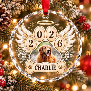 Personalized Pet Memorial Glass Ornament 2026 | Christmas Remembrance Gift For Pet Lover